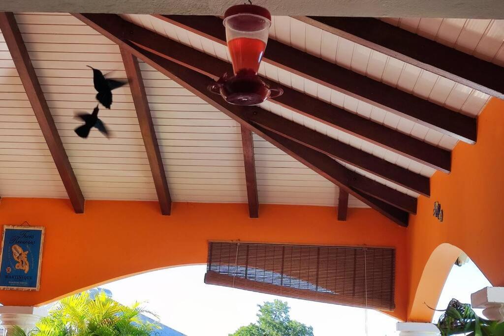 Villa Anolis, Sainte Luce, Piscine, Vue Mer, 4* Exteriör bild